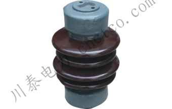 ZS、ZSW-10KV/4、5户表里线路用支柱绝缘子