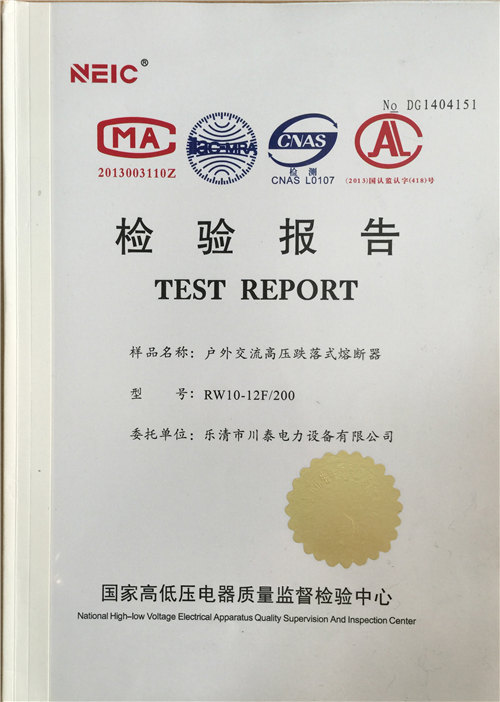 查验报告