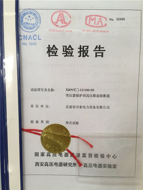查验报告